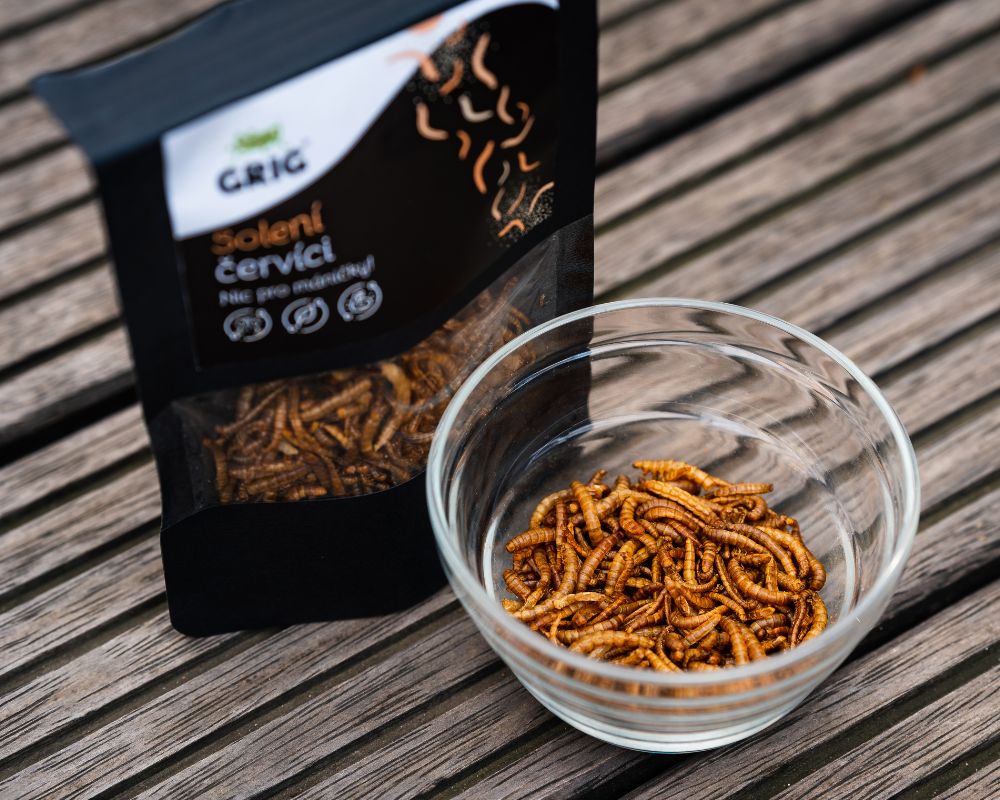 Fried rice with mealworms - Grigfood.com